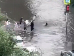 Две девушки чуть не утонули на пешеходном переходе видео