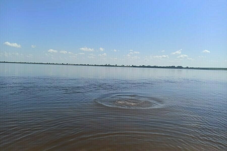 Следственный комитет заинтересовался утонувшим в Зее Возбуждено уголовное дело