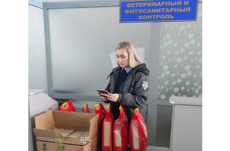 В Амурскую область привезли 20 тонн китайского риса