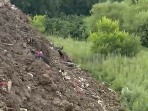 Песком сверху присыпали благовещенцы показали как после вмешательства прокуратуры убрали мусор на кладбище на Новотроицком