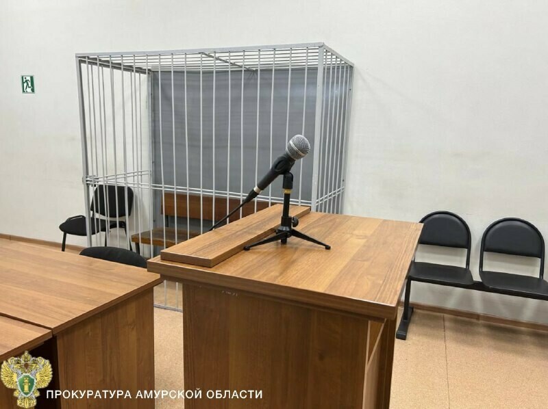 Ударили сковородой а затем стулом амурчане пошли на убийство изза украденного шуроповерта 