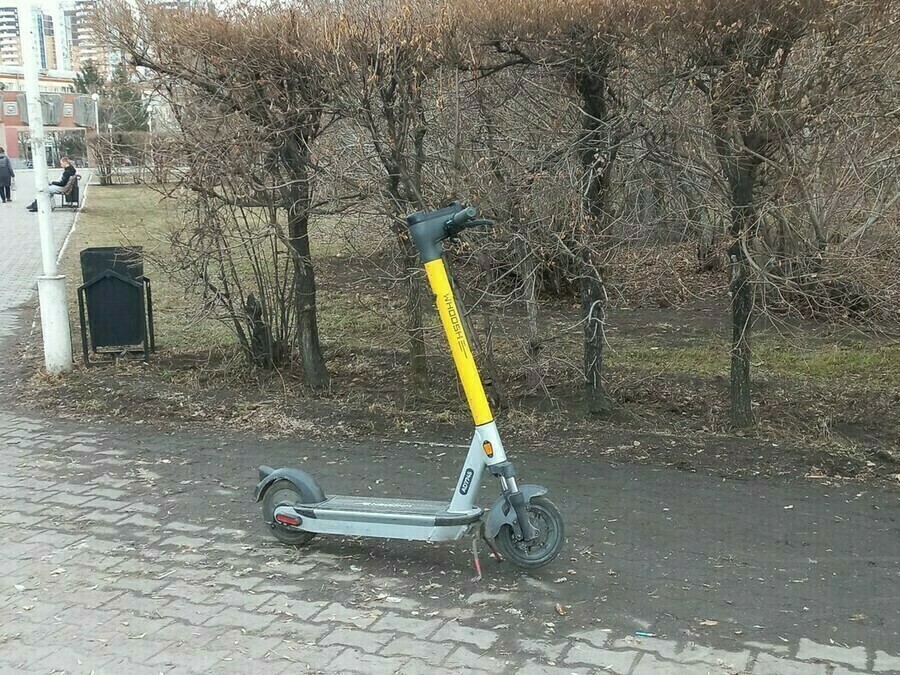 Двух нелегалов на одном самокате задержали полицейские в Благовещенске