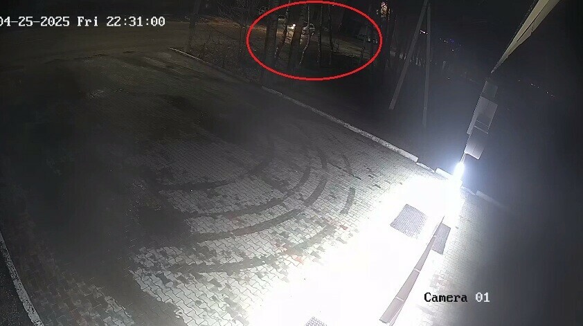 Мне страшно за свою жизнь на благовещенку напала чиновница из администрации видео