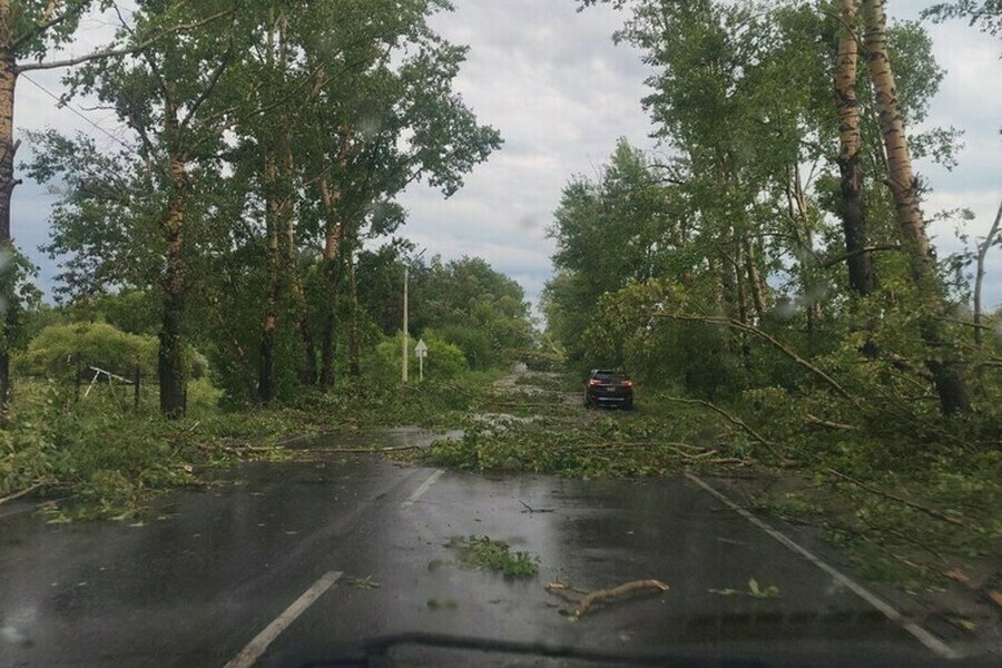 Изза грозы и ветра без света в Приамурье остается 81 тысяча жителей