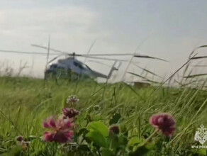 Спасатели добрались до места крушения Ан24 в Амурской области