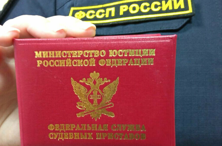 Суд принудил браконьера выплатить ущерб за убитую в Приамурье косулю