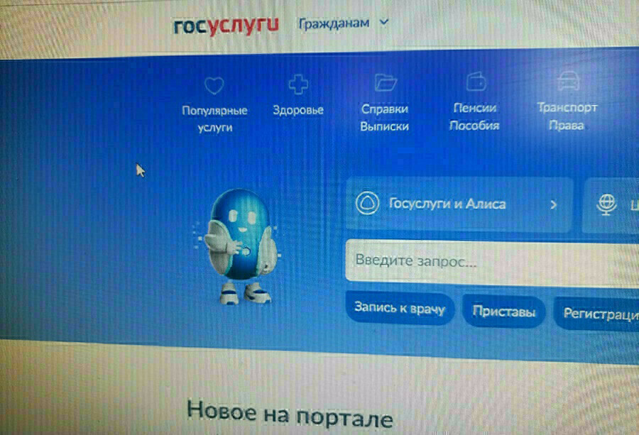 Мошенники стали работать под видом госуслуг О схеме рассказал эксперт