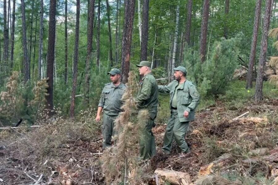 Отпугивали медведей жительница Приамурья рассказала о помощи на разборах обломков Ан24