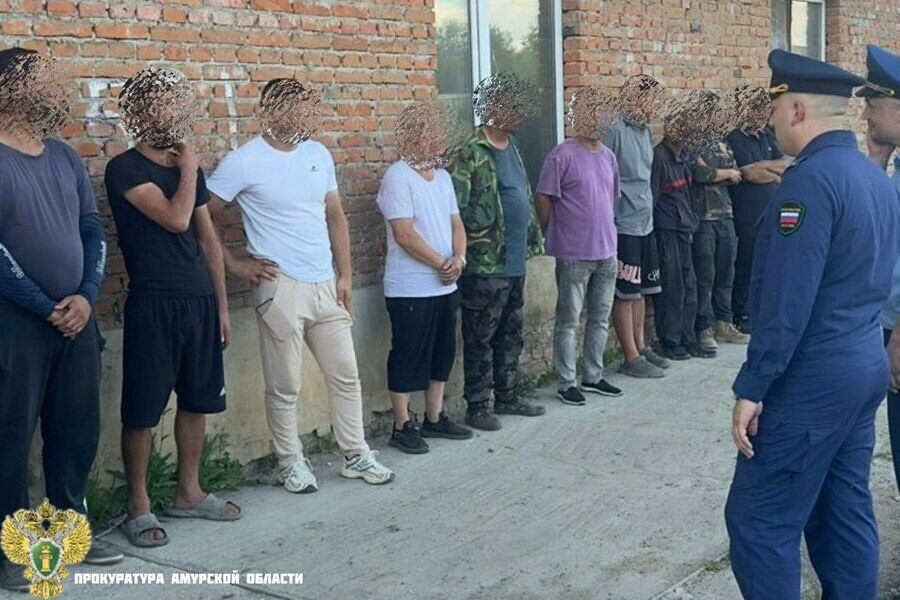Незаконных трудовых мигрантов обнаружили на заводе в Благовещенском округе 11 из них выдворят из России фото