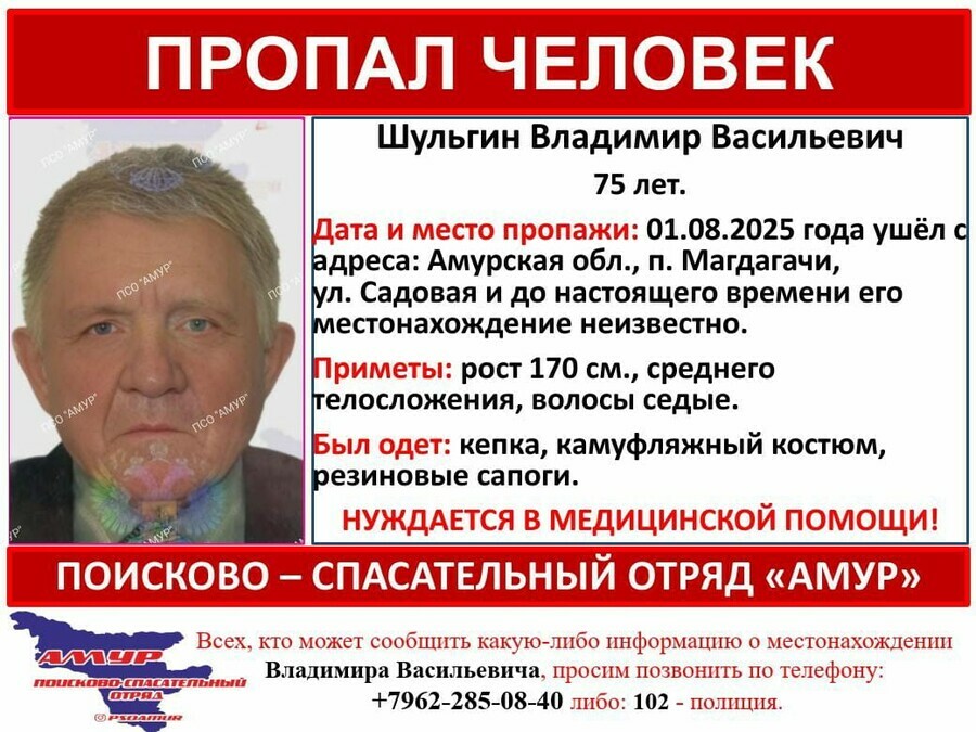 Пожилой амурчанин ушел в лес с двумя собаками домой вернулся только один четвероногий
