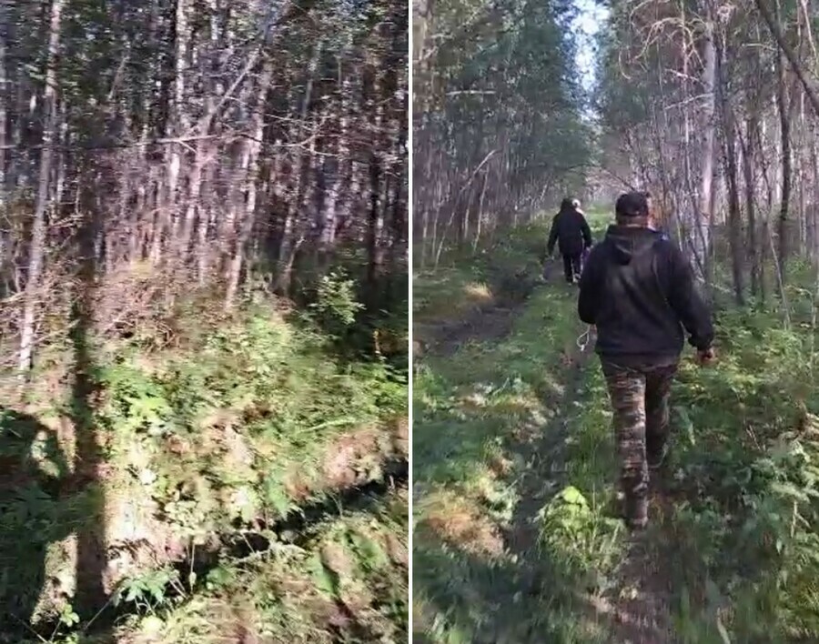 Вблизи Тынды спасатели вывели из леса человека