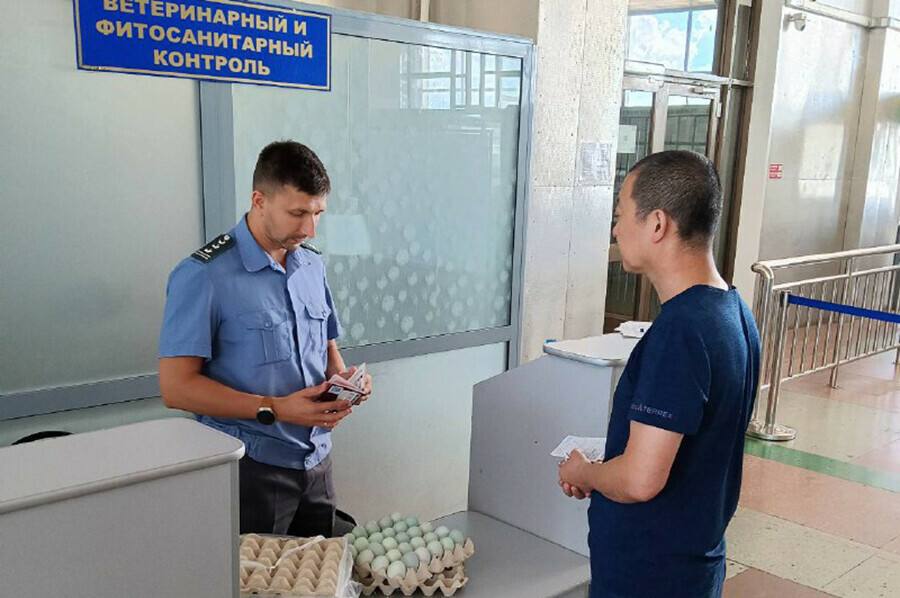 Изъятую у гражданина на таможне Благовещенска партию яиц уничтожили
