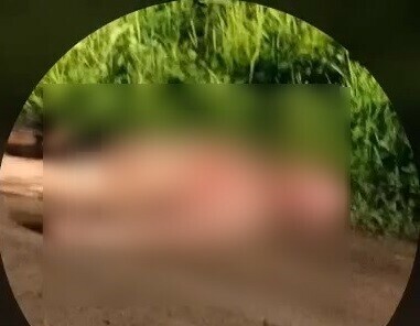 Изувеченное тело женщины нашли на дороге в Приамурье видео 18