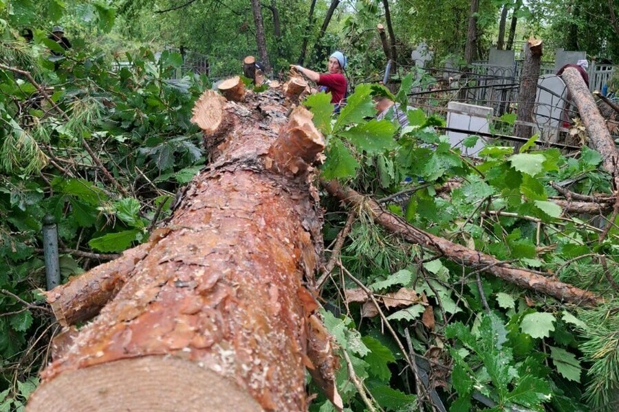 Амурские кладбища которые завалило деревьями после урагана освобождают от мусора фото
