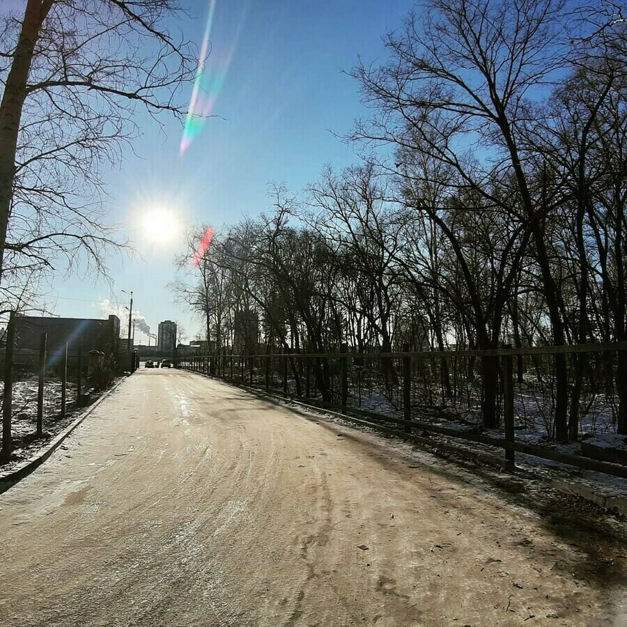 Летний кинотеатр беговые дорожки благовещенцам предлагают поучаствовать в опросе о благоустройстве сороконожки