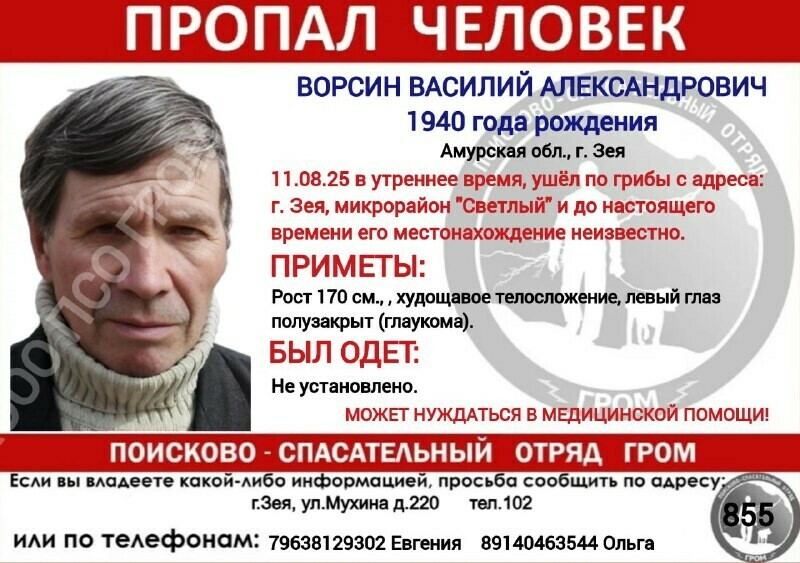 В Амурской области ищут 85летнего грибника оставшегося в лесу ночью в сильный дождь
