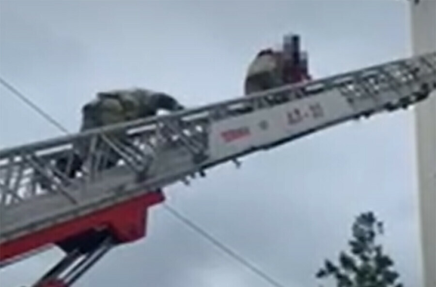 В Амурской области пришлось экстренно снимать женщину с высоты видео
