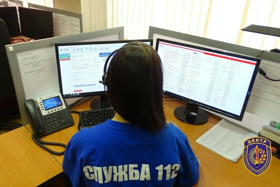 Благовещенца укусил азиатский шершень Возникла сильная аллергическая реакция