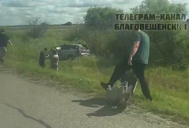Соцсети на амурской трассе произошло жесткое ДТП с погибшим видео 