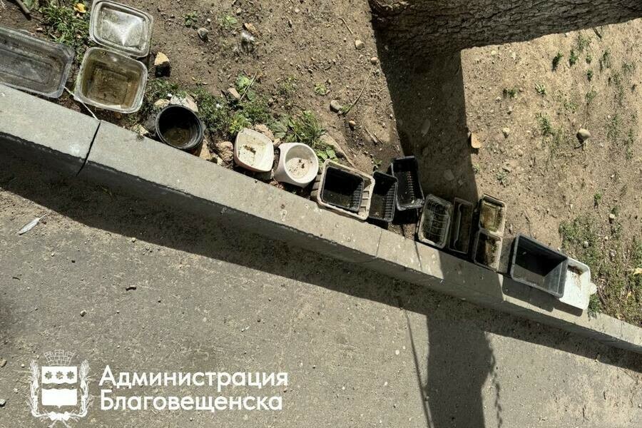 В сквере Благовещенска появился шведский стол Власти возмутились 