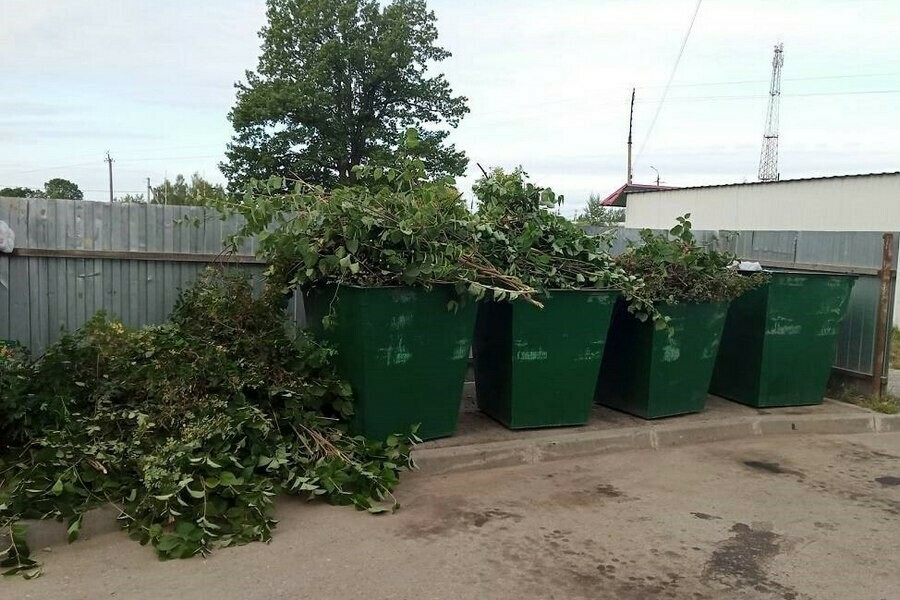 Благовещенцам рассказали что нельзя будет оставлять возле мусорных контейнеров с 1 сентября