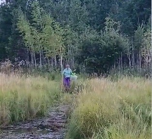 Пропавшую при сборе грибов амурчанку обнаружили и вели до выхода из леса при помощи квадрокоптера