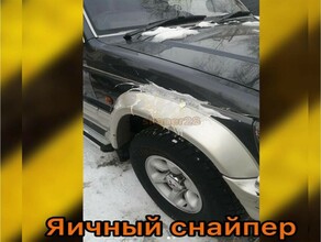 В Благовещенске объявились яичные партизаны