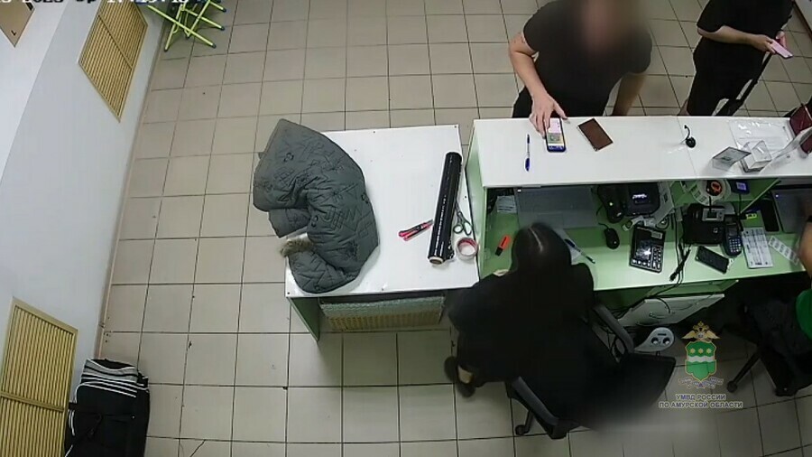 В Приамурье таксист украл у пенсионерки деньги которые она приготовила для мошенников видео