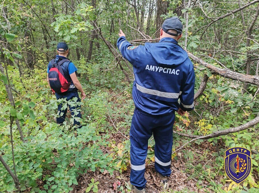 Рекордное количество грибников потерялось в минувшие выходные в Приамурье