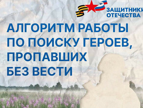 Как найти пропавшего участника СВО рассказали амурчанам в фонде Защитники Отечества