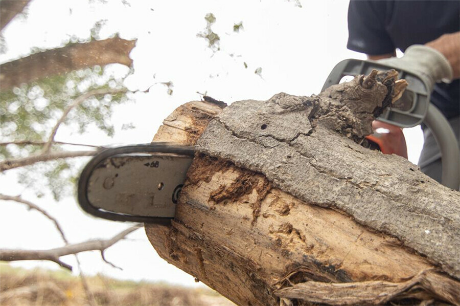 Пилите Шура пилите управляющая компания заплатит амурчанке за порчу машины