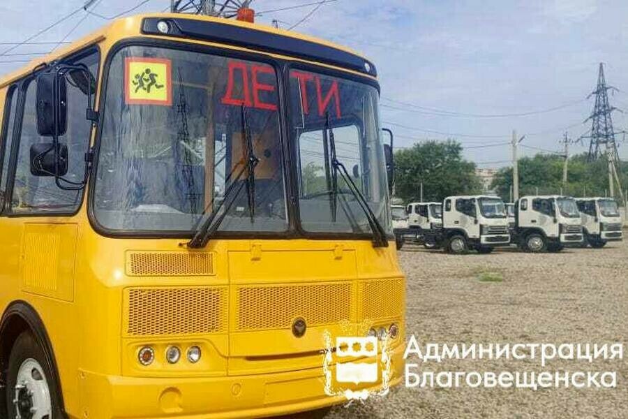 О комфорте и безопасности детей на пути в школы Благовещенска позаботились власти фото