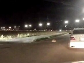 Благовещенцы остались недовольны выходкой мотоциклиста на новом участке набережной видео