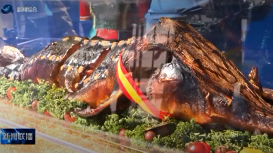 В Хэйхэ участников первого российскокитайского марафона вкусно кормили видео
