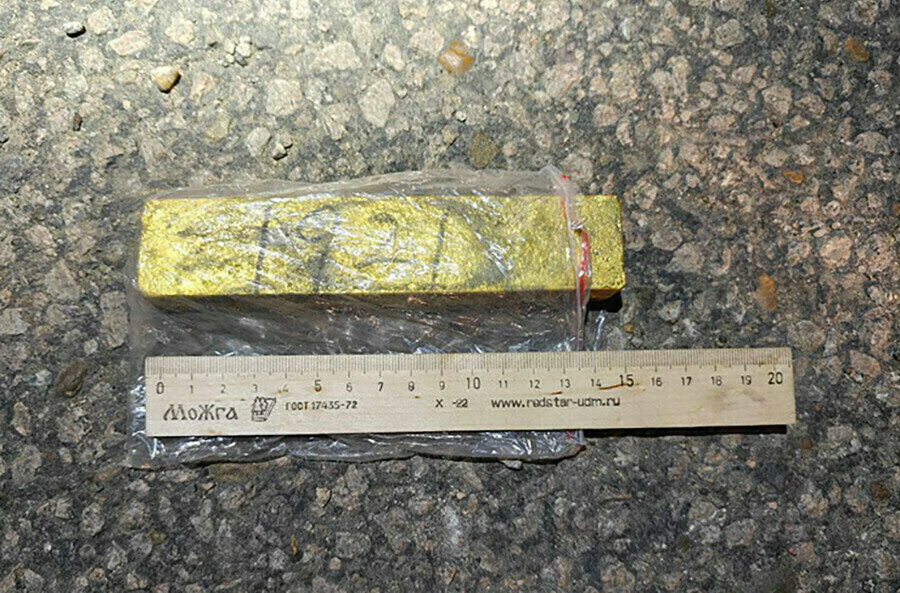 Слиток золота на 6 миллионов рублей нашел в лесу амурчанин