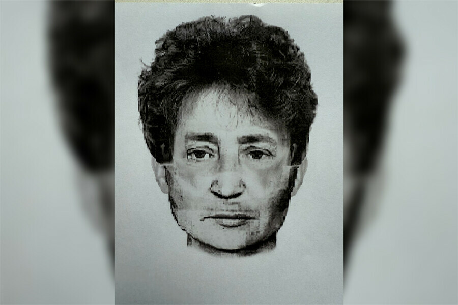 В Приамурье бабушка услышав слово Барсик отдала больше миллиона Полиция ищет женщину забравшую деньги