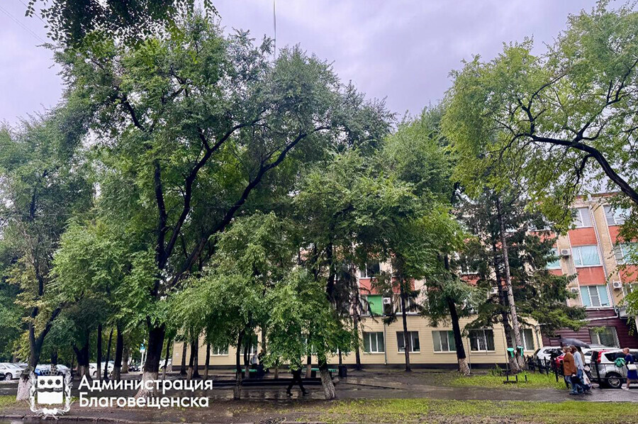 Урны скамейки парковка в Благовещенске благоустроят перекресток улиц Шевченко и Зейская