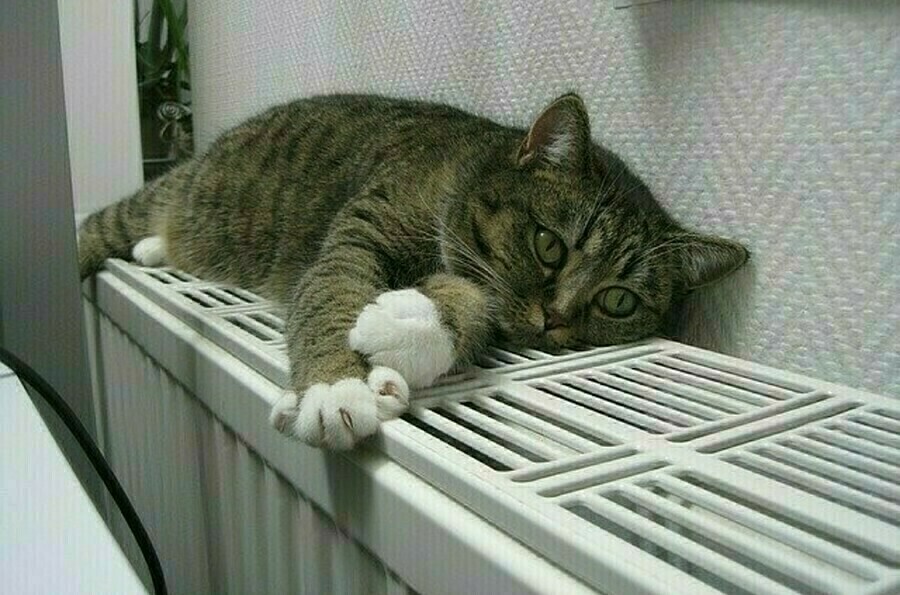 О скором начале отопительного сезона сообщил глава очередного округа Амурской области