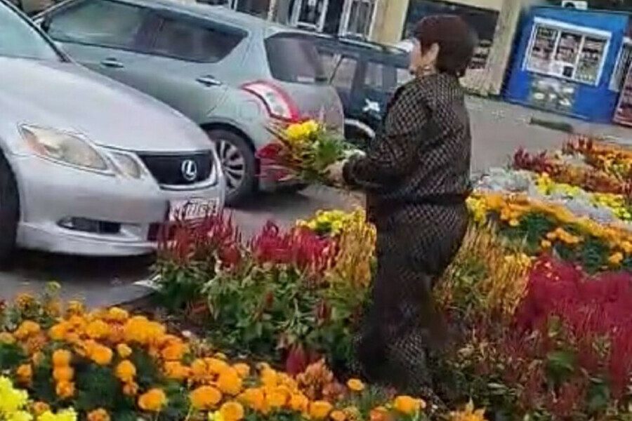 Осень все равно пропадут сотрудница магазина в Белогорске беззастенчиво оборвала цветы с клумбы