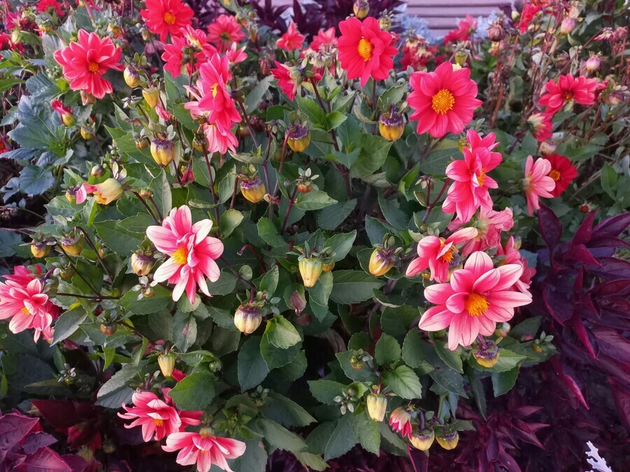 Прогноз погоды в Амурской области на 24 сентября