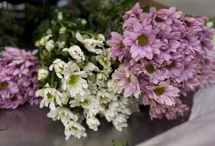 Заражённые ржавчиной цветы не пустили в Амурскую область