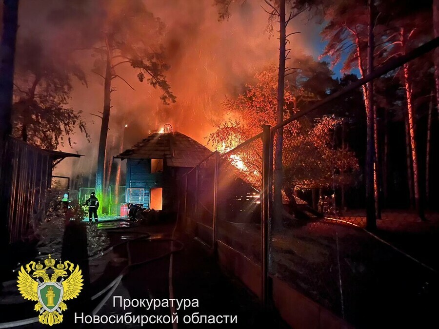 Более 10 животных погибли при пожаре в Новосибирском зоопарке
