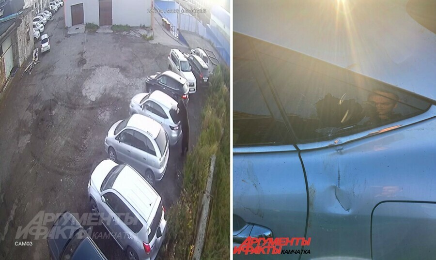 На Дальнем Востоке медведь травмировал женщину и пытался достать мужчину из машины видео