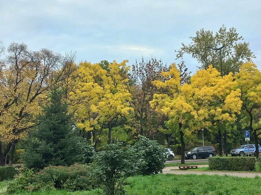 Прогноз погоды в Амурской области на субботу 27 сентября