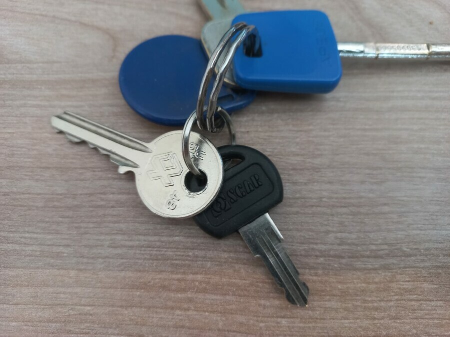 Амурчане ключом от квартиры завели Toyota и умчались на ней домой