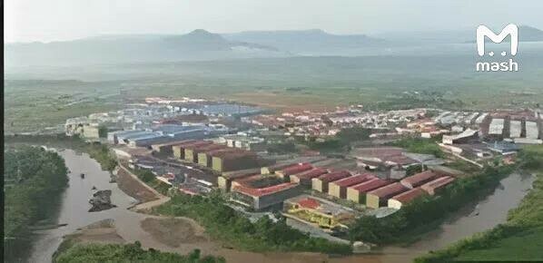 Найдена вывезенная с территории Таиланда в Мьянму дальневосточница