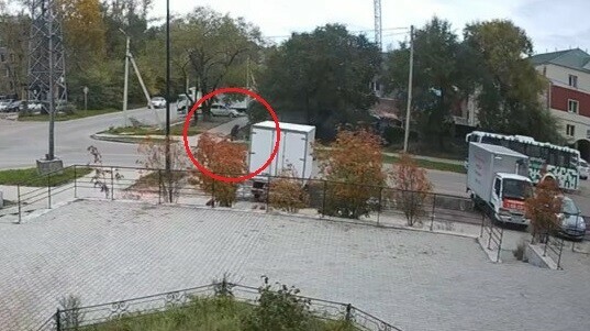 Пострадавшую всю трясло от страха в центре Благовещенска собака напала на женщину видео