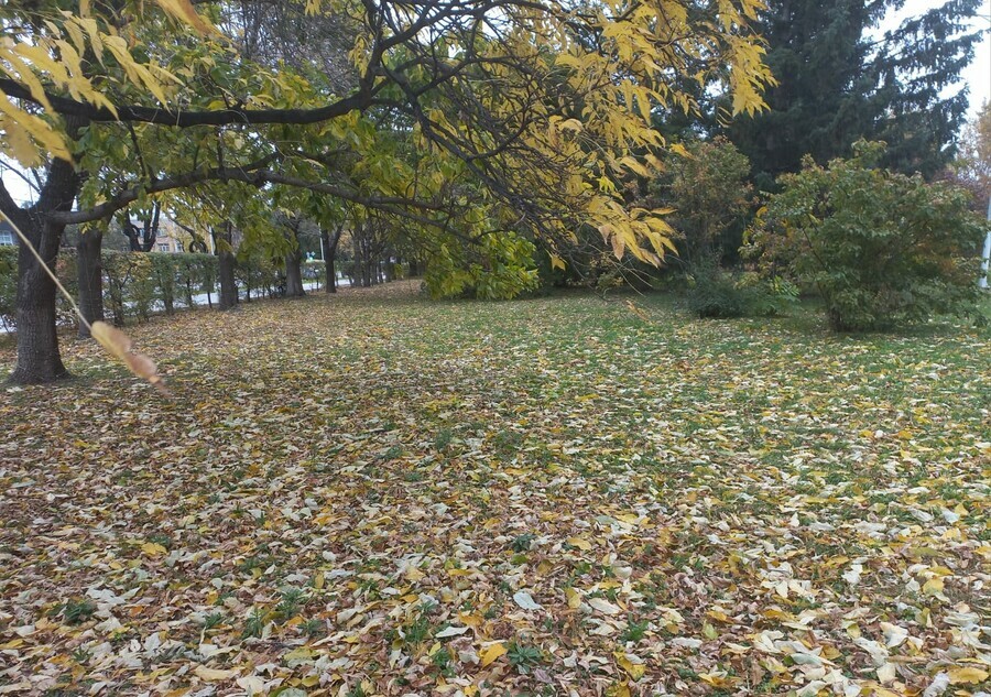 Прогноз погоды в Амурской области на 2 октября