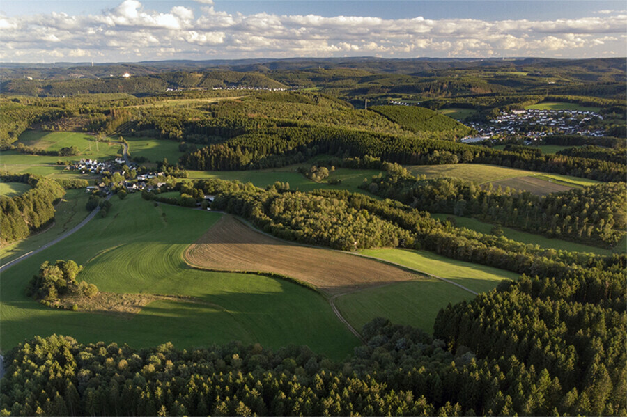 Свое нарушение посчитала малозначительным За что наказана начальник управления в Амурской области