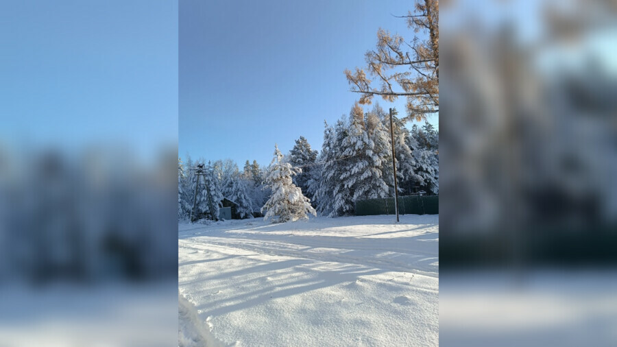 Снега значительно выше нормы куда в Амурской области пришла настоящая зима